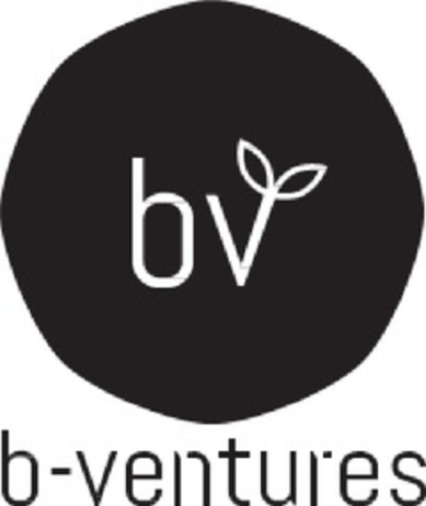 B-VENTURES Logo (EUIPO, 20.05.2013)