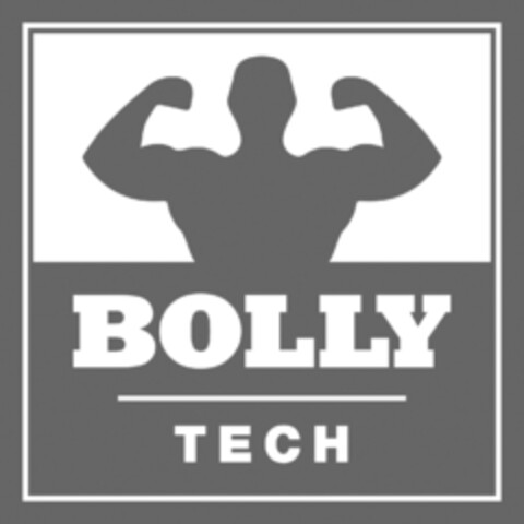 BOLLY TECH Logo (EUIPO, 12/16/2016)