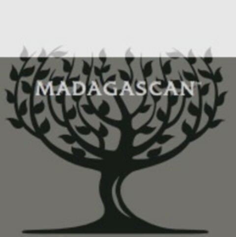 MADAGASCAN Logo (EUIPO, 22.08.2017)