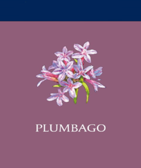 PLUMBAGO Logo (EUIPO, 05/18/2020)