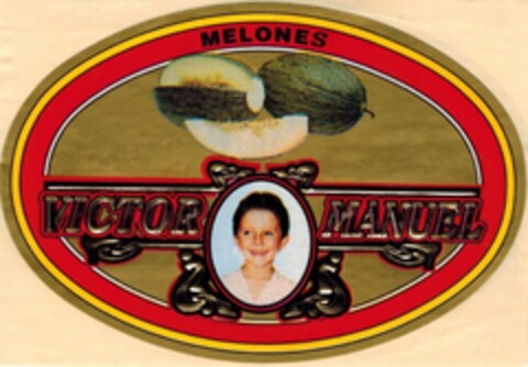 MELONES VICTOR MANUEL Logo (EUIPO, 11/14/2014)