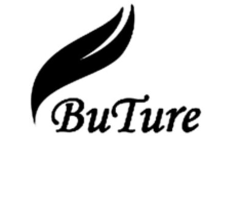 BUTURE Logo (EUIPO, 03/29/2017)