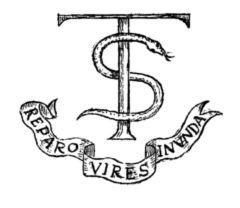 TS REPARO VIRES INVNDA Logo (EUIPO, 27.04.2000)