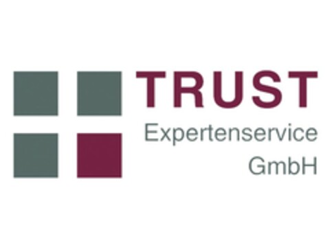 TRUST Expertenservice GmbH Logo (EUIPO, 19.11.2010)