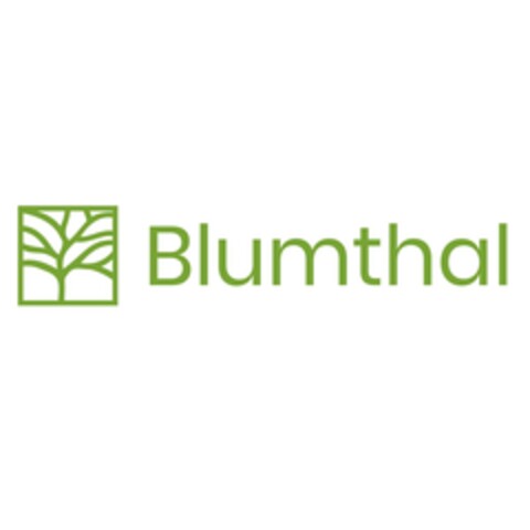 Blumthal Logo (EUIPO, 12.09.2023)