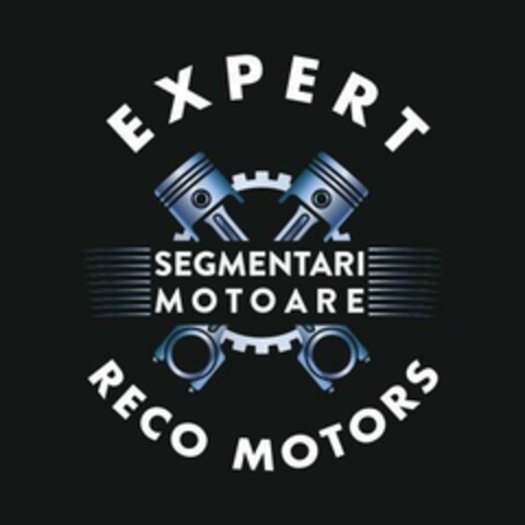 EXPERT RECO МОТОRS SEGMENTARI MOTOARE Logo (EUIPO, 17.01.2024)