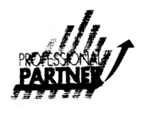 PROFESSIONAL PARTNER Logo (EUIPO, 12.12.1996)