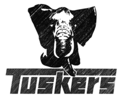 Tuskers Logo (EUIPO, 08/23/2004)