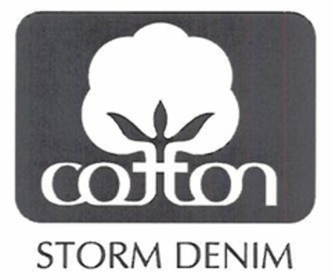 COTTON STORM DENIM Logo (EUIPO, 17.05.2006)