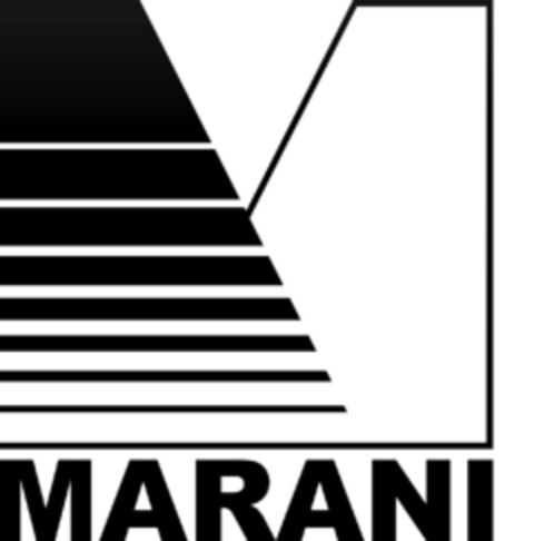 MARANI Logo (EUIPO, 05.03.2021)