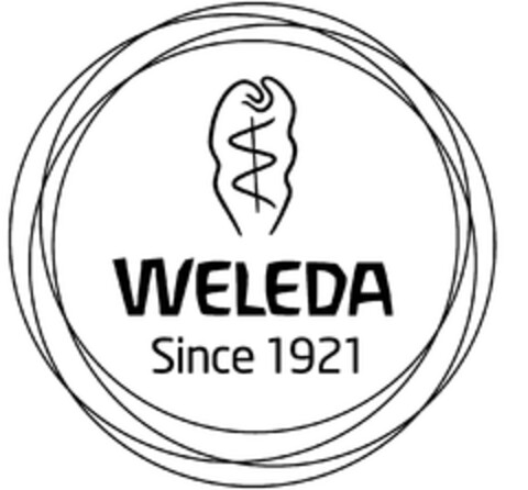 WELEDA Since 1921 Logo (EUIPO, 13.09.2013)