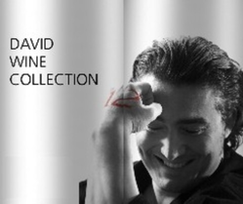 DAVID WINE COLLECTION Logo (EUIPO, 01/13/2014)