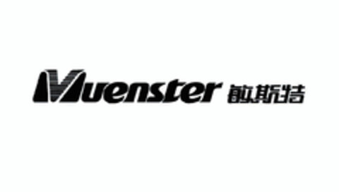 Vuenster Logo (EUIPO, 07.01.2020)