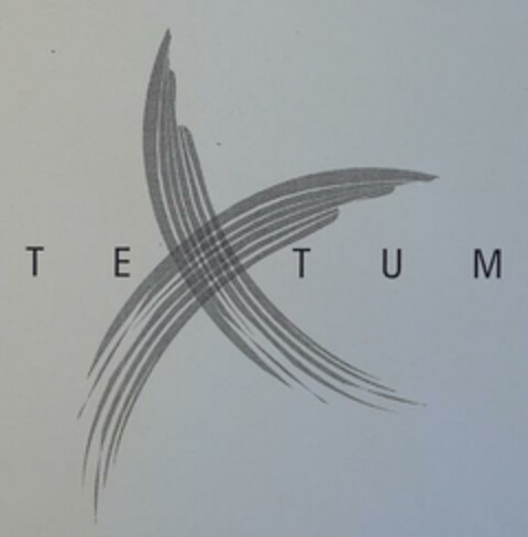 TEXTUM Logo (EUIPO, 20.12.2007)