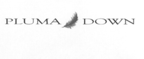 PLUMA DOWN Logo (EUIPO, 30.07.2008)