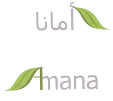 Amana Logo (EUIPO, 19.02.2009)