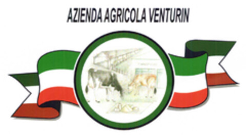 AZIENDA AGRICOLA VENTURIN Logo (EUIPO, 20.01.2009)