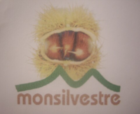 MONSILVESTRE Logo (EUIPO, 04.03.2009)