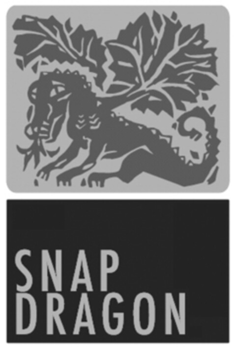 SNAP DRAGON Logo (EUIPO, 15.06.2009)