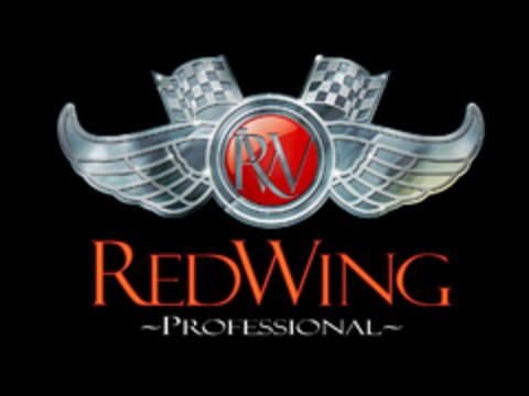 REDWING PROFESSIONAL Logo (EUIPO, 27.05.2011)