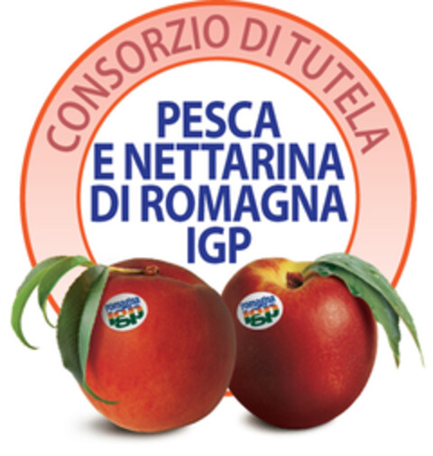 CONSORZIO DI TUTELA PESCA E NETTARINA DI ROMAGNA IGP Logo (EUIPO, 06/27/2017)