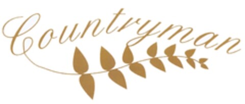 COUNTRYMAN Logo (EUIPO, 17.12.2020)