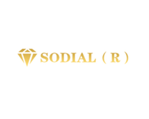 SODIAL(R) Logo (EUIPO, 29.04.2021)