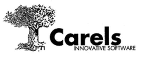 Carels INNOVATIVE SOFTWARE Logo (EUIPO, 11.10.2000)