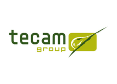 TECAM GROUP Logo (EUIPO, 30.01.2014)