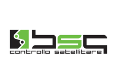 bsq controllo satellitare Logo (EUIPO, 18.01.2017)