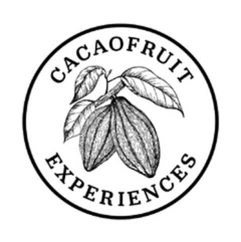 CACAOFRUIT EXPERIENCES Logo (EUIPO, 08/22/2019)