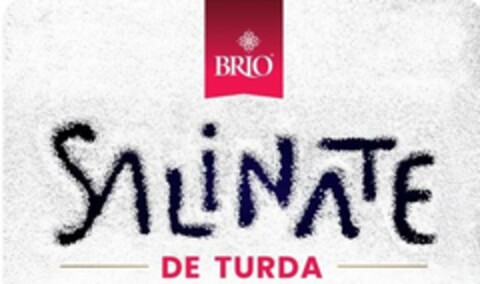 BRIO SALINATE DE TURDA Logo (EUIPO, 22.03.2024)