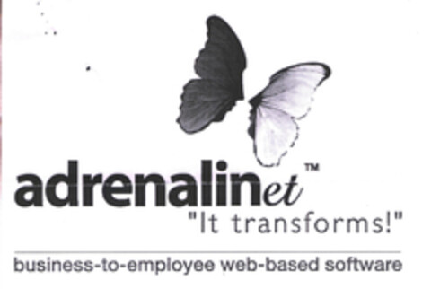 adrenalinet "It Transforms!" business-to-employee web-based software Logo (EUIPO, 21.10.2003)