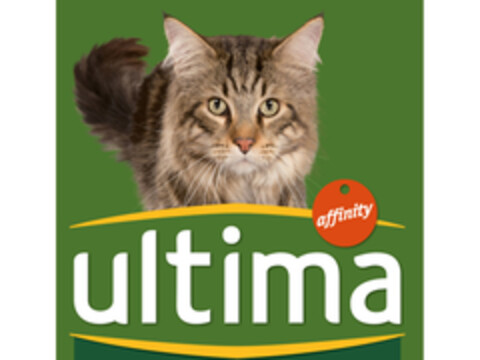 AFFINITY ULTIMA Logo (EUIPO, 11.10.2016)