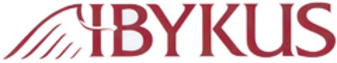 IBYKUS Logo (EUIPO, 25.04.2017)