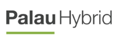 PALAU HYBRID Logo (EUIPO, 03.09.2018)