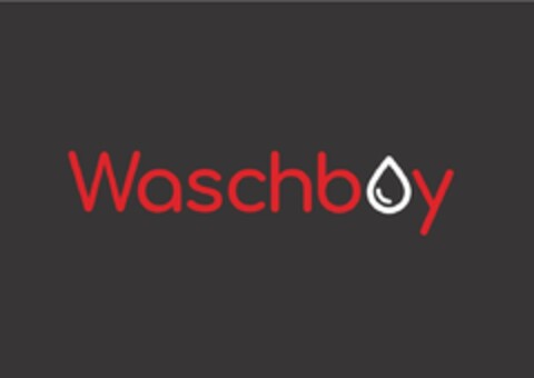 Waschboy Logo (EUIPO, 10/09/2023)