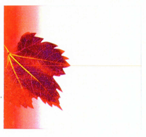  Logo (EUIPO, 26.09.2002)