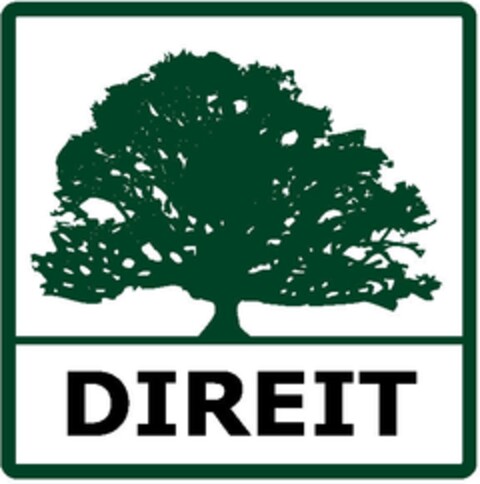 DIREIT Logo (EUIPO, 21.06.2007)