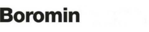 Boromin Logo (EUIPO, 08/01/2008)