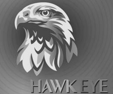 HAWKEYE Logo (EUIPO, 18.03.2014)