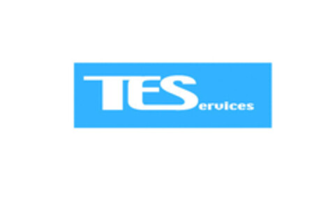 TEServices Logo (EUIPO, 18.02.2015)