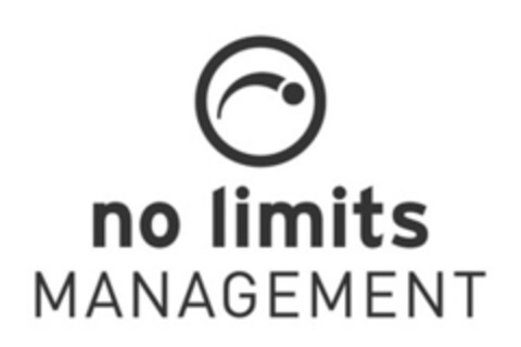 no limits MANAGEMENT Logo (EUIPO, 05/11/2015)