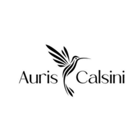 Auris Calsini Logo (EUIPO, 29.03.2024)