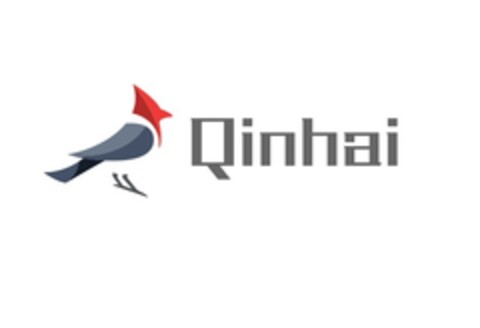 Qinhai Logo (EUIPO, 07/31/2019)