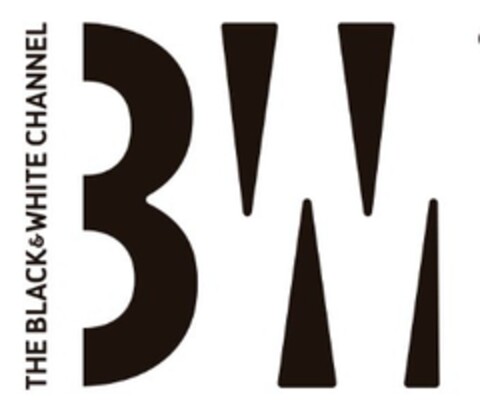 THE BLACK & WHITE CHANNEL Logo (EUIPO, 20.03.2020)