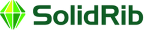 SolidRib Logo (EUIPO, 10/13/2020)