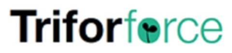 TRIFORFORCE Logo (EUIPO, 23.06.2021)