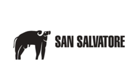 SAN SALVATORE Logo (EUIPO, 18.10.2021)