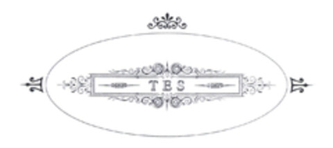 TES Logo (EUIPO, 12.12.2003)